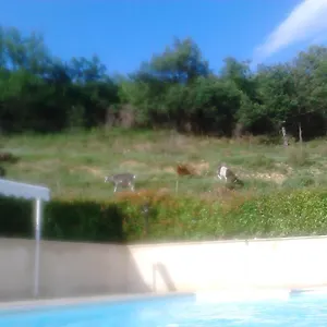 Les Tilleuls Appartement